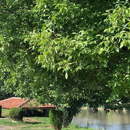 Apartmani Morava 54 Kocino Selo Luaran gambar