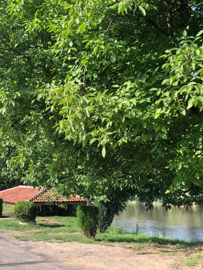 Apartmani Morava 54 Kocino Selo Luaran gambar