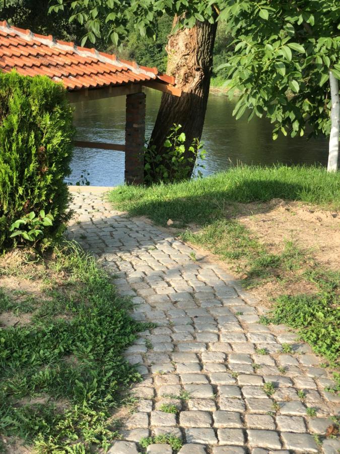 Apartmani Morava 54 Kocino Selo Luaran gambar