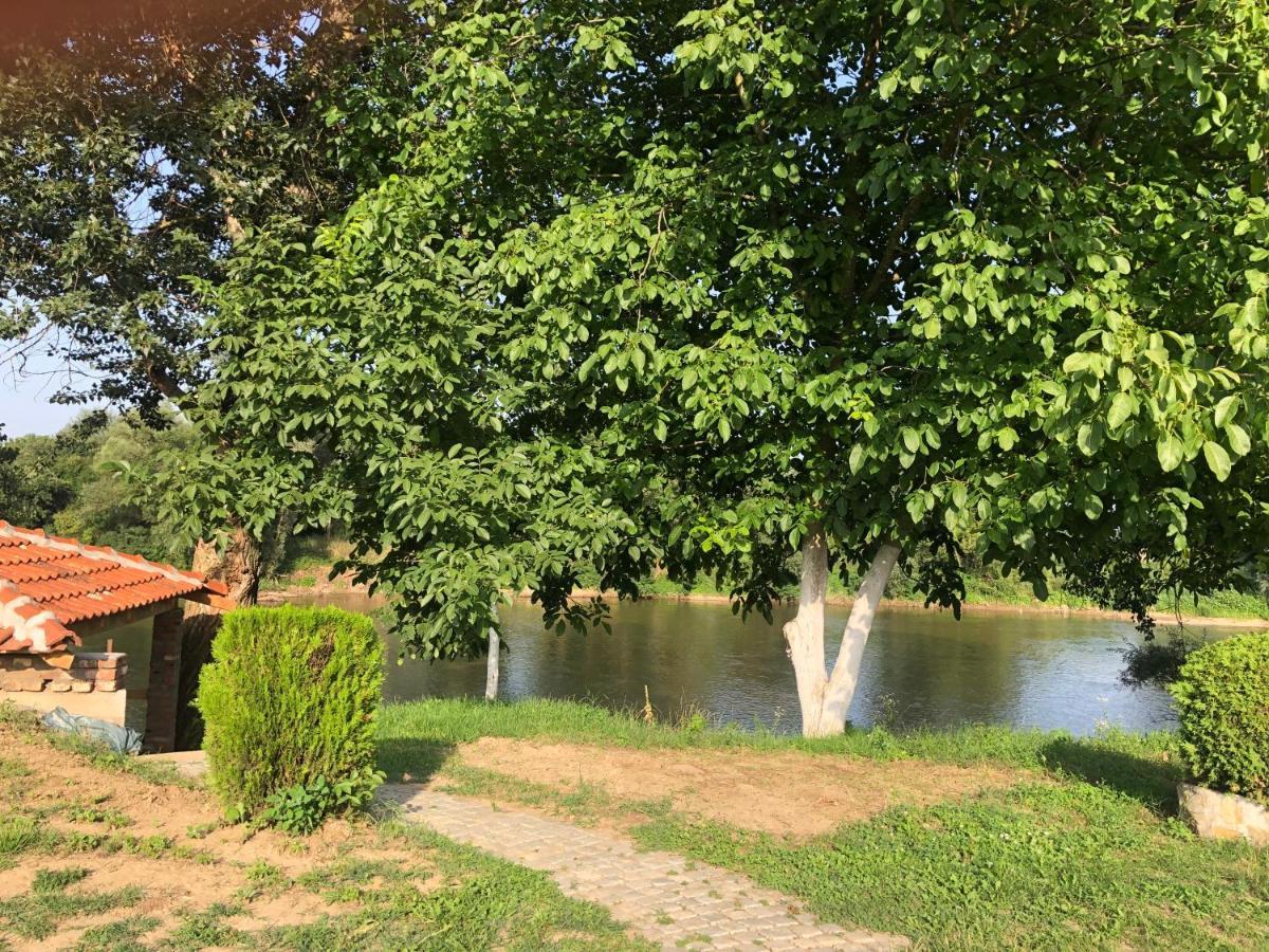 Apartmani Morava 54 Kocino Selo Luaran gambar