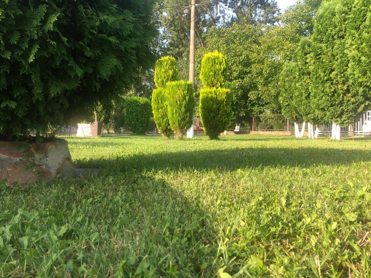 Apartmani Morava 54 Kocino Selo Luaran gambar