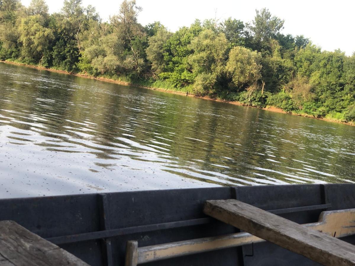 Apartmani Morava 54 Kocino Selo Luaran gambar